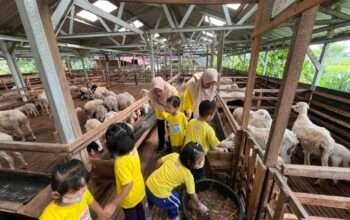 Sentuh, Lihat, dan Rasakan: Outing Class Seru Anak Usia Dini di DD Farm