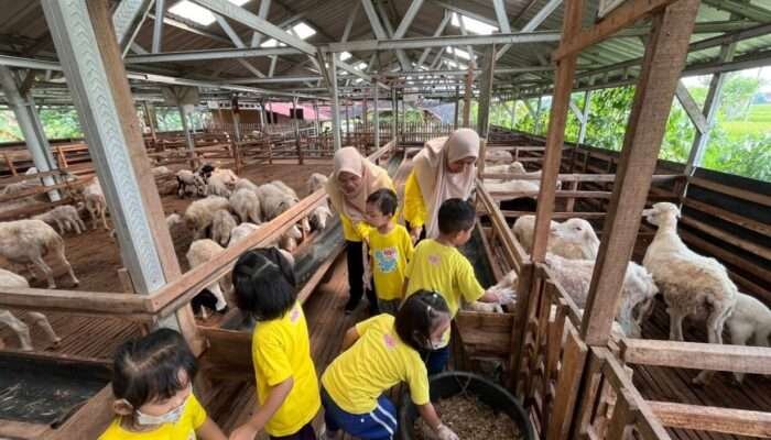Sentuh, Lihat, dan Rasakan: Outing Class Seru Anak Usia Dini di DD Farm